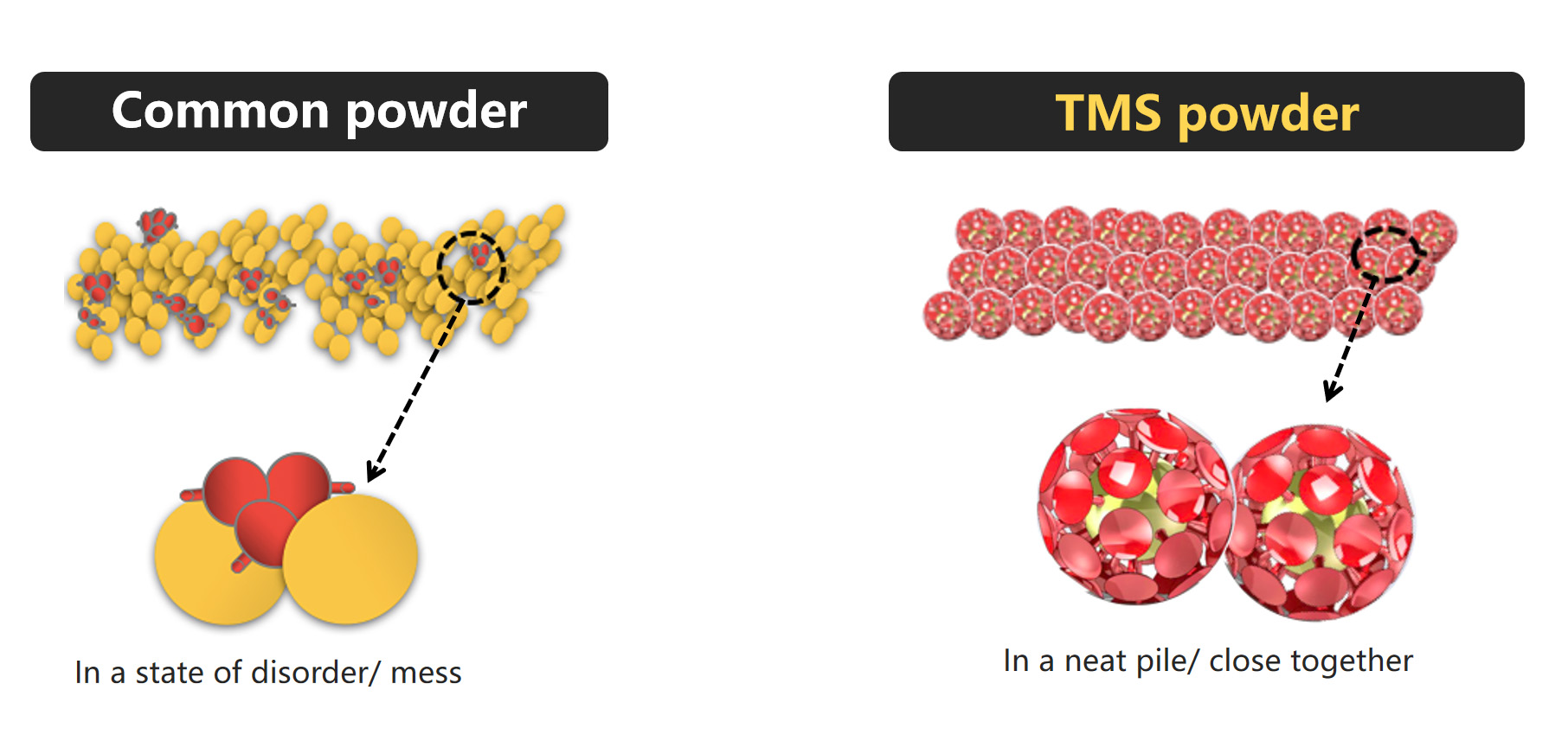 TMS粉与普通粉相比